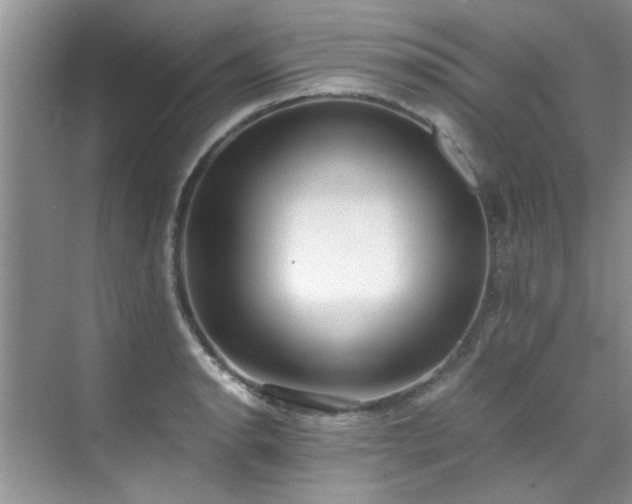 X0000070431134200606161457