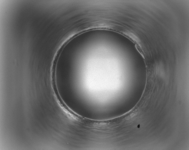 X0000070431135200606161457