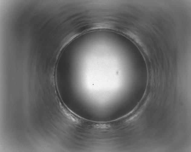 X0000070431137200606161457