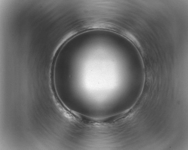 X0000070431138200606161457