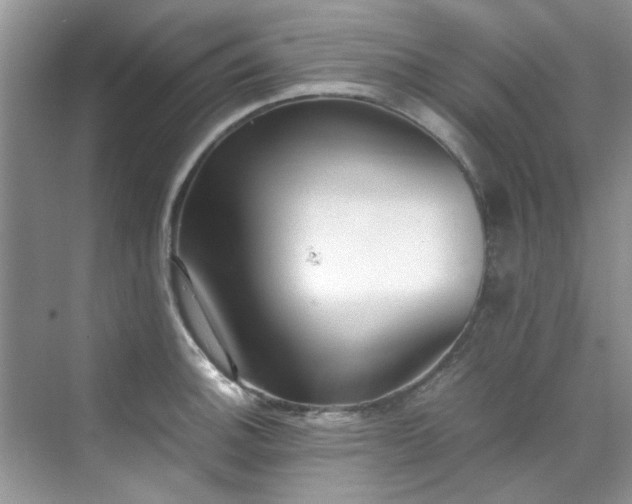 X0000070431140200606161457