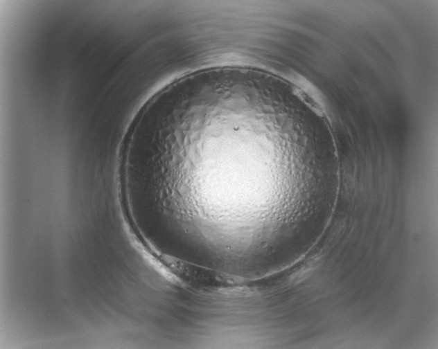 X0000070431142200606161457