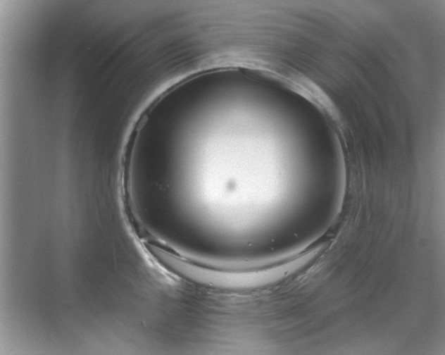 X0000070431144200606161457