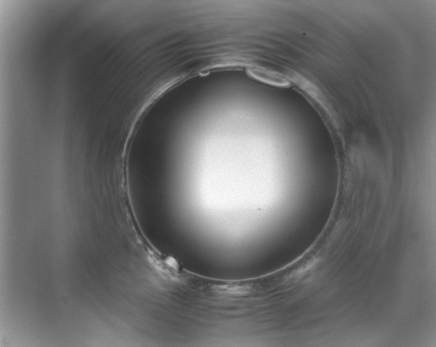 X0000070431145200606161457