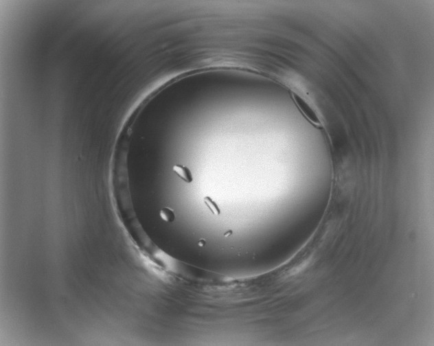 X0000070431149200606161457