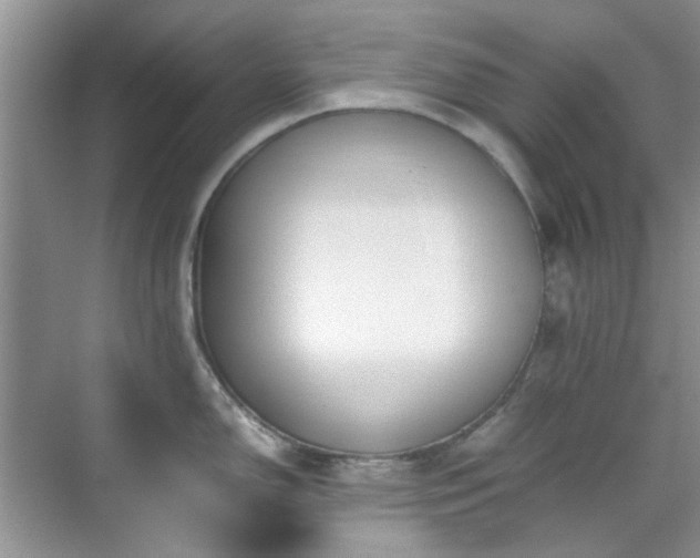 X0000070431150200606161457