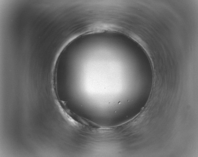 X0000070431152200606161457