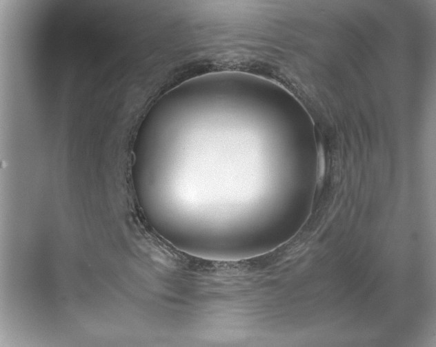 X0000070431153200606161456