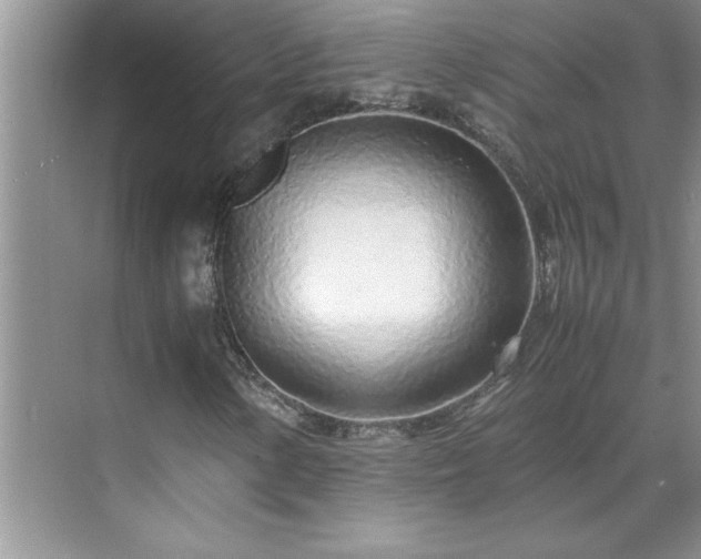 X0000070431154200606161456