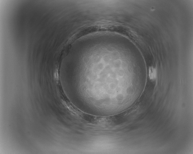 X0000070431155200606161456