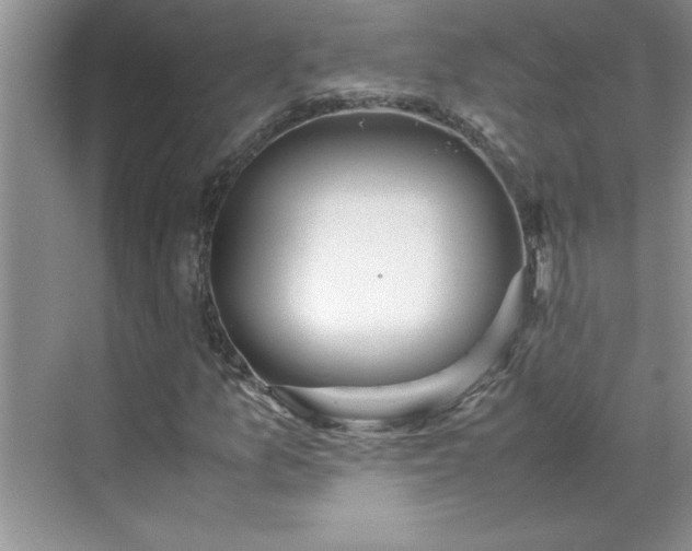 X0000070431157200606161456