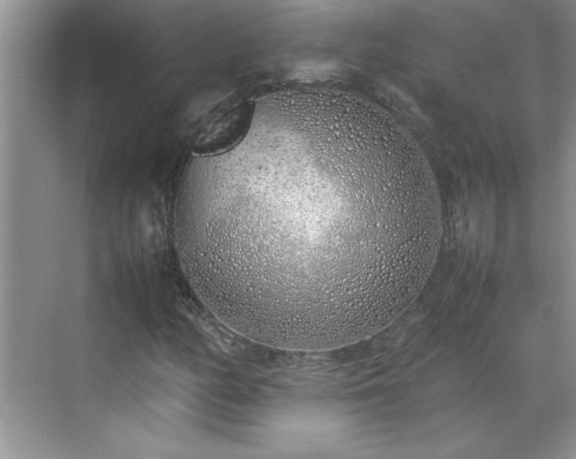 X0000070431158200606161456