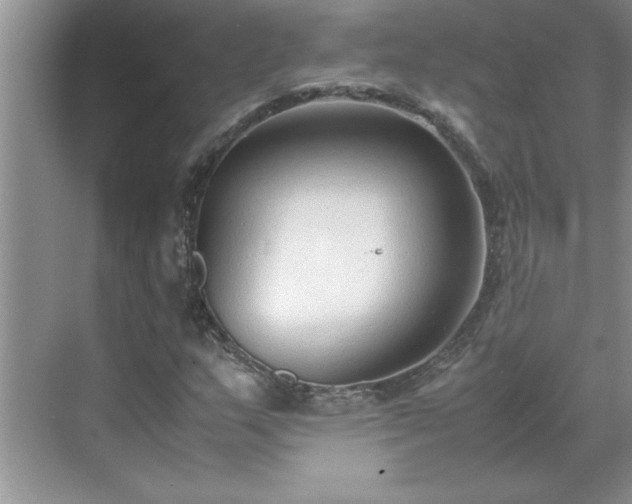 X0000070431159200606161456