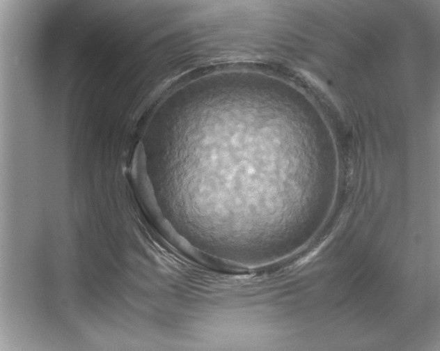 X0000070431161200606161456