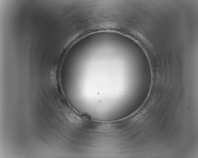 X0000070431162200606161456