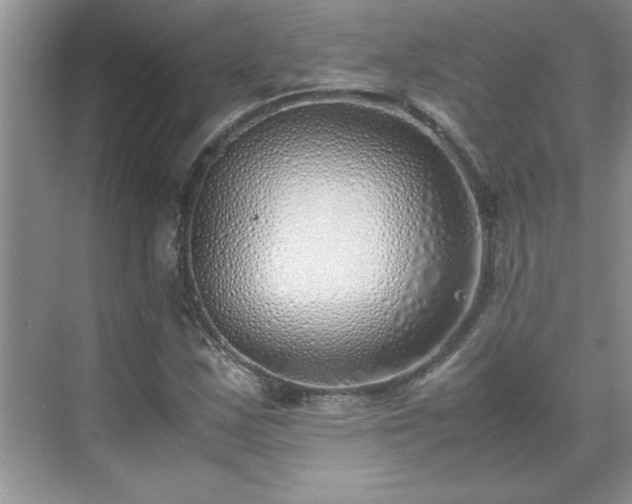 X0000070431163200606161456