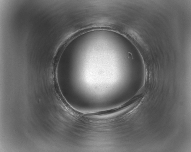 X0000070431164200606161456