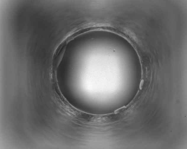 X0000070431165200606161456