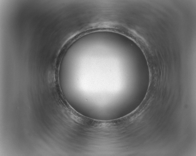 X0000070431166200606161456