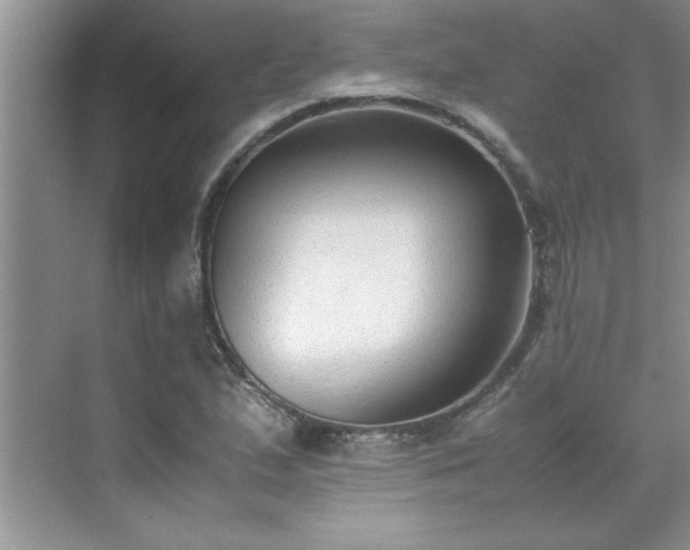 X0000070431167200606161456