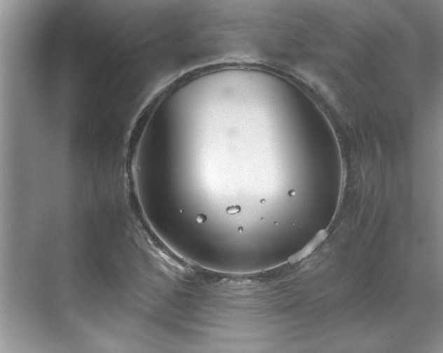 X0000070431168200606161456