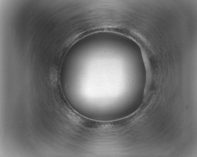 X0000070431169200606161456