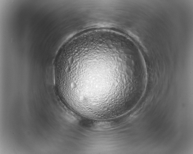 X0000070431171200606161456