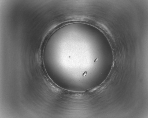 X0000070431172200606161456