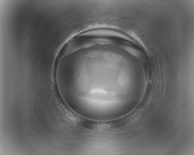 X0000070431173200606161456