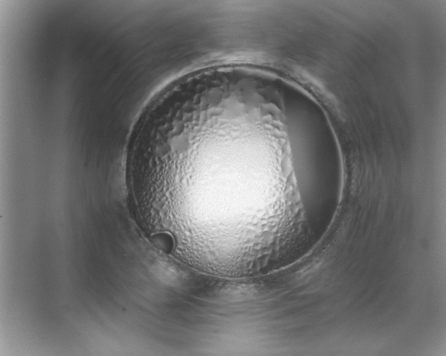 X0000070431174200606161456