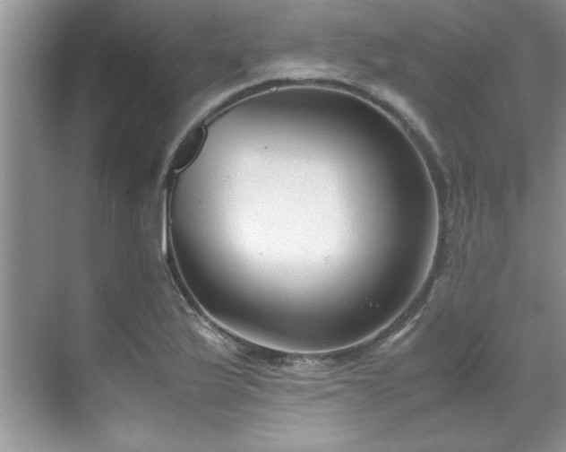 X0000070431175200606161456