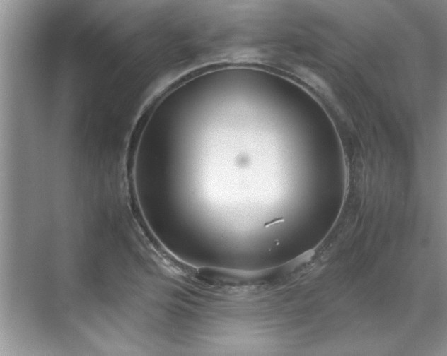 X0000070431176200606161456