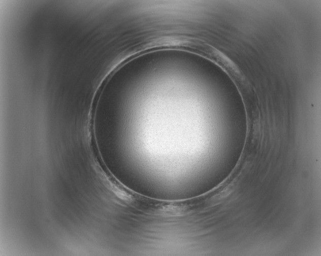 X0000070431178200606161456