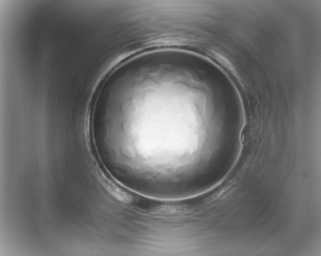 X0000070431179200606161456