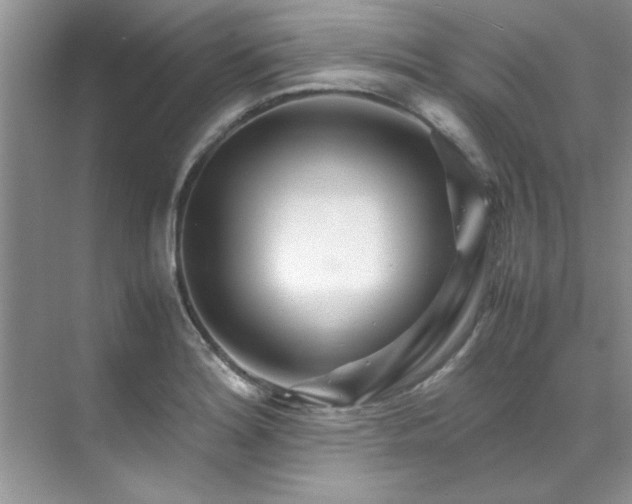 X0000070431180200606161456