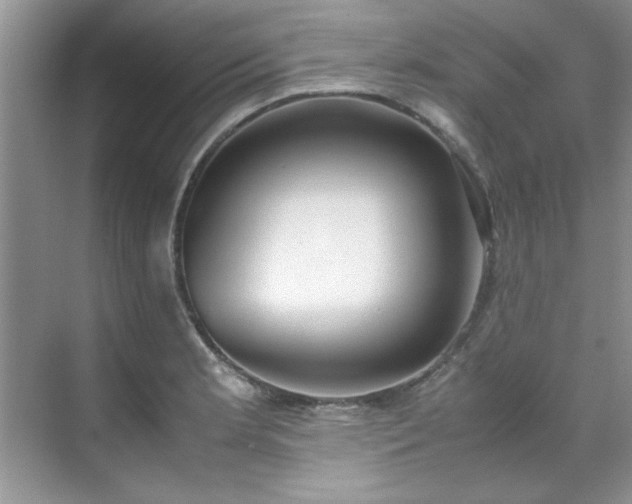 X0000070431181200606161456