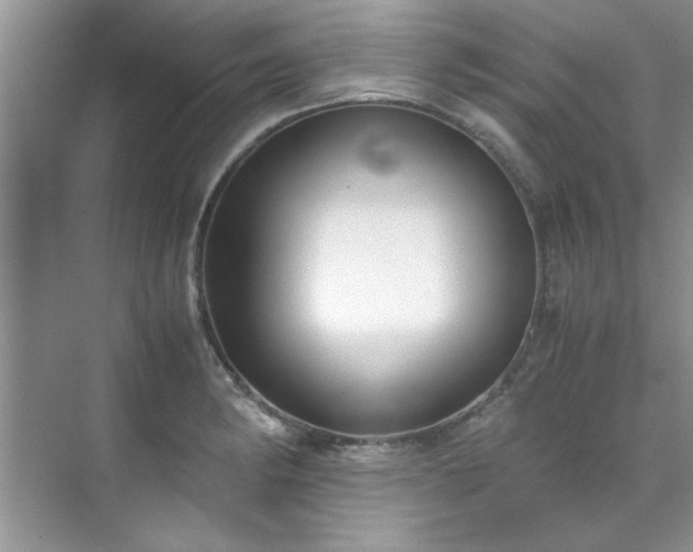 X0000070431182200606161456