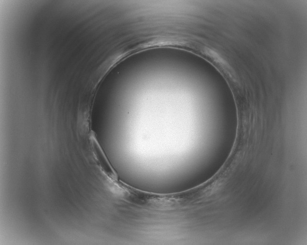 X0000070431185200606161456