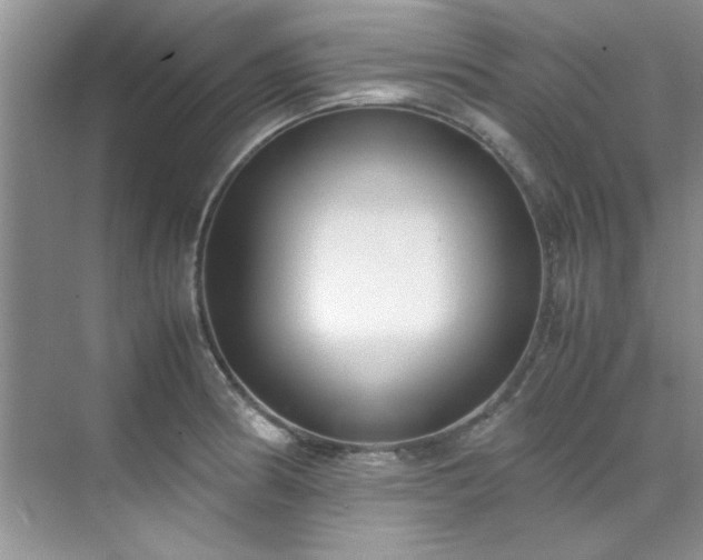 X0000070431186200606161456