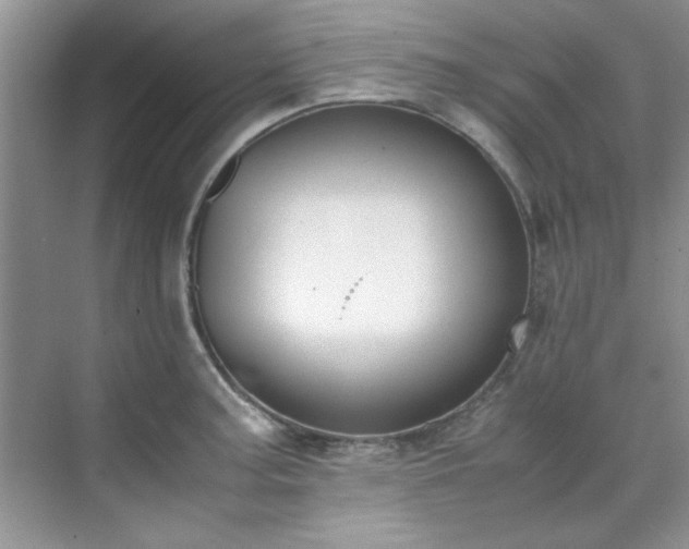 X0000070431187200606161456