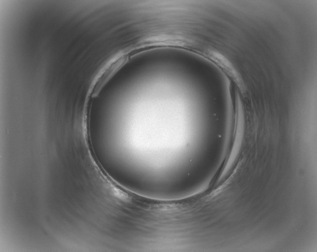 X0000070431188200606161456