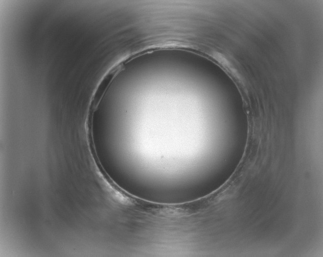 X0000070431189200606161456