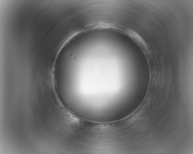 X0000070431190200606161456