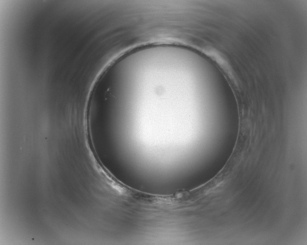 X0000070431191200606161456