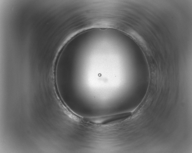 X0000070431192200606161456