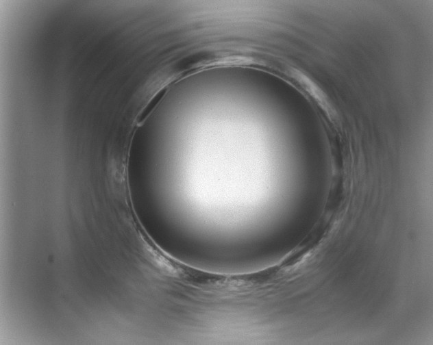 X0000070431193200606161456