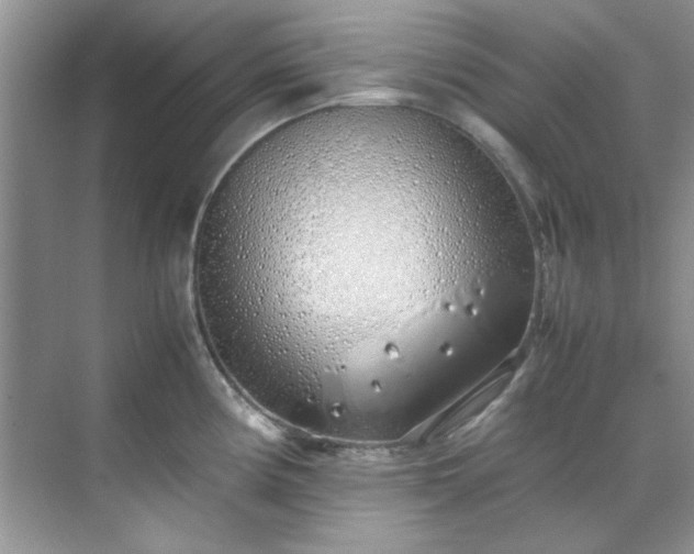 X0000070431194200606161456