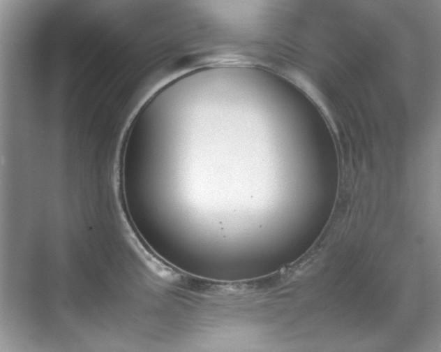 X0000070431195200606161456