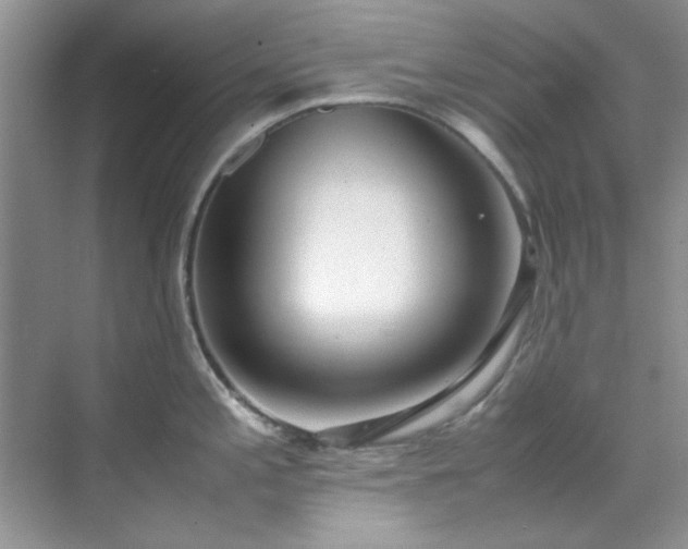 X0000070431197200606161456