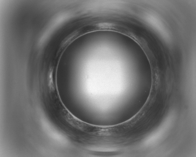 X0000070431198200606161456